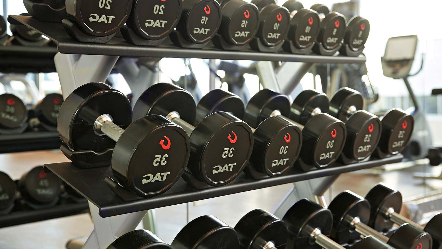 Free Weights in Fitness Center